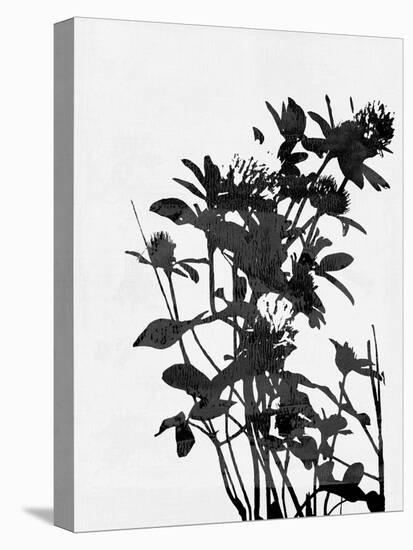 Minimalist Black Wild Flower V-Eline Isaksen-Stretched Canvas