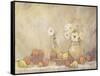 Minimalist Still Life Study I-Tim OToole-Framed Stretched Canvas