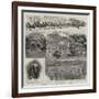 Mining and Vineyarding in the Far West-null-Framed Giclee Print