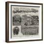 Mining and Vineyarding in the Far West-null-Framed Giclee Print