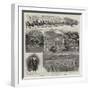 Mining and Vineyarding in the Far West-null-Framed Giclee Print