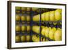 Mining Helmets, Centre Historique Minier, Leward, France-Walter Bibikow-Framed Photographic Print