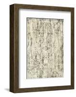 Mink Brocade I-Mali Nave-Framed Art Print