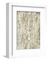 Mink Brocade I-Mali Nave-Framed Art Print