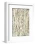 Mink Brocade I-Mali Nave-Framed Art Print