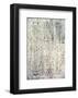 Mink Brocade II-Mali Nave-Framed Art Print