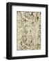 Mink Brocade IV-Mali Nave-Framed Art Print