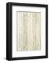 Mink Brocade V-Mali Nave-Framed Art Print