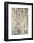 Mink Brocade VI-Mali Nave-Framed Art Print