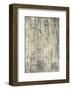 Mink Brocade VI-Mali Nave-Framed Art Print