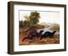 Minks, c.1848-null-Framed Premium Giclee Print