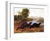 Minks, c.1848-null-Framed Premium Giclee Print