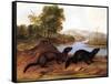 Minks, c.1848-null-Framed Stretched Canvas