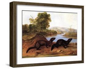 Minks, c.1848-null-Framed Giclee Print