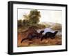 Minks, c.1848-null-Framed Giclee Print