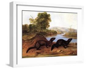 Minks, c.1848-null-Framed Giclee Print