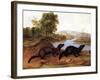 Minks, c.1848-null-Framed Giclee Print