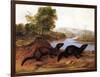 Minks, c.1848-null-Framed Giclee Print