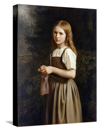 Stretched Canvas Print, , large