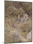 Minna, Illustration to 'Happy England' by Marcus Huish, Pub. by a and C Black, 1904-Helen Allingham-Mounted Giclee Print