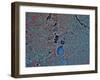 Minneapolis, Minnesota-Stocktrek Images-Framed Photographic Print