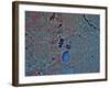 Minneapolis, Minnesota-Stocktrek Images-Framed Photographic Print