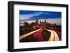 Minneapolis MN Skyline-Steve Gadomski-Framed Photographic Print