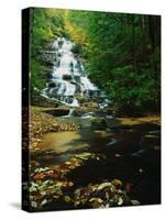Minnehaha Falls-James Randklev-Stretched Canvas