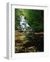 Minnehaha Falls-James Randklev-Framed Photographic Print