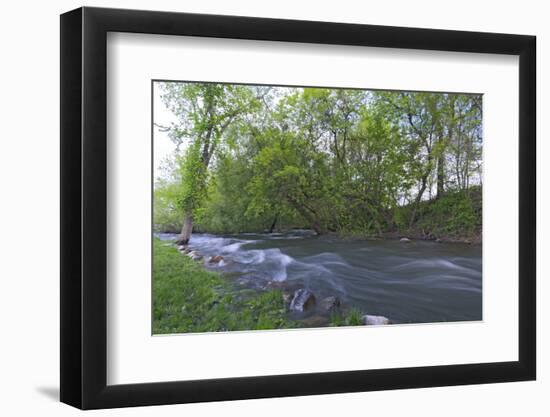 Minnehaha River Banks-jrferrermn-Framed Photographic Print
