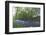 Minnehaha River Banks-jrferrermn-Framed Photographic Print