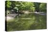 Minneopa Creek and Forest-jrferrermn-Stretched Canvas