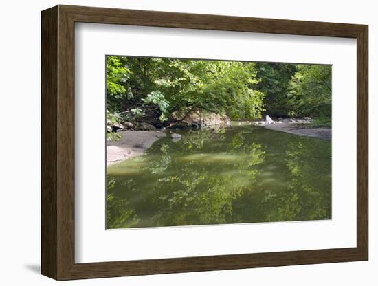 Minneopa Creek and Forest-jrferrermn-Framed Photographic Print