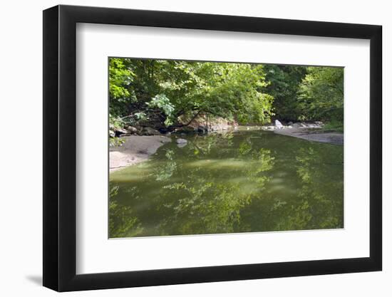 Minneopa Creek and Forest-jrferrermn-Framed Photographic Print