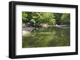 Minneopa Creek and Forest-jrferrermn-Framed Photographic Print