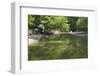 Minneopa Creek and Forest-jrferrermn-Framed Photographic Print