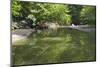 Minneopa Creek and Forest-jrferrermn-Mounted Photographic Print