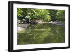 Minneopa Creek and Forest-jrferrermn-Framed Photographic Print