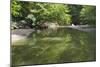 Minneopa Creek and Forest-jrferrermn-Mounted Photographic Print