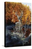 Minnesota Autumn-Gordon Semmens-Stretched Canvas