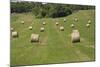 Minnesota. Dakota County, Rolled Bales of Hay in a Green Field-Bernard Friel-Mounted Photographic Print