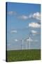 Minnesota, Dexter, Grand Meadow Wind Farm-Peter Hawkins-Stretched Canvas