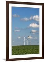 Minnesota, Dexter, Grand Meadow Wind Farm-Peter Hawkins-Framed Photographic Print