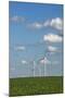 Minnesota, Dexter, Grand Meadow Wind Farm-Peter Hawkins-Mounted Photographic Print