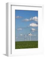 Minnesota, Dexter, Grand Meadow Wind Farm-Peter Hawkins-Framed Photographic Print