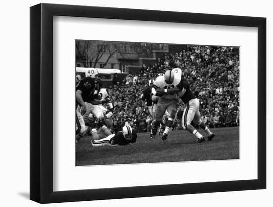 Minnesota- Iowa Game and Football Weekend, Minneapolis, Minnesota, November 1960-Francis Miller-Framed Premium Photographic Print