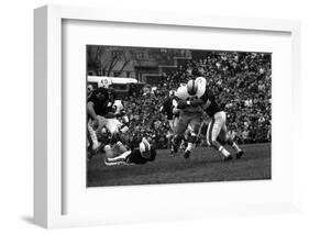 Minnesota- Iowa Game and Football Weekend, Minneapolis, Minnesota, November 1960-Francis Miller-Framed Premium Photographic Print