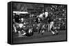 Minnesota- Iowa Game and Football Weekend, Minneapolis, Minnesota, November 1960-Francis Miller-Framed Stretched Canvas