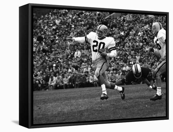 Minnesota- Iowa Game and Football Weekend, Minneapolis, Minnesota, November 1960-Francis Miller-Framed Stretched Canvas