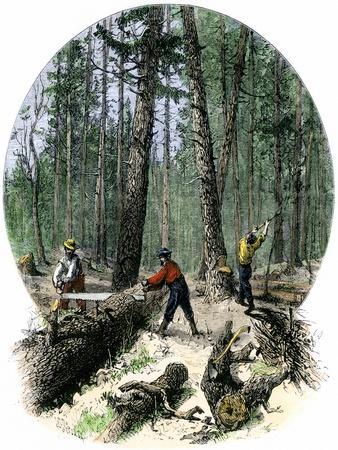 https://imgc.allpostersimages.com/img/posters/minnesota-loggers-cutting-trees-and-sawing-logs-with-a-two-man-saw-c-1860_u-L-P26WVP0.jpg?artPerspective=n